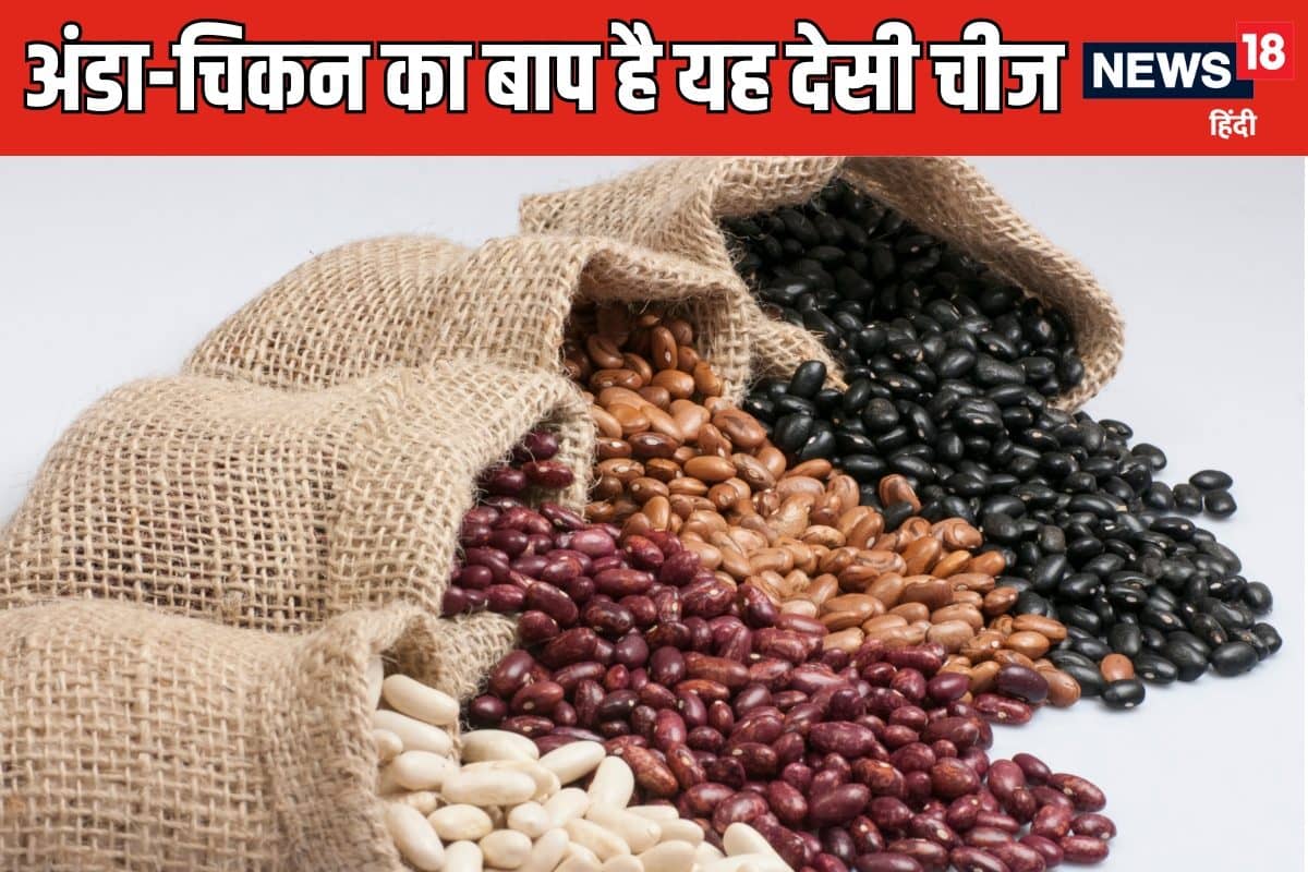 kidney beans Rajma Benefits 2024 08 1253245782bae1f1f662f9ce9fe8f3a7 3x2 hVAX7P