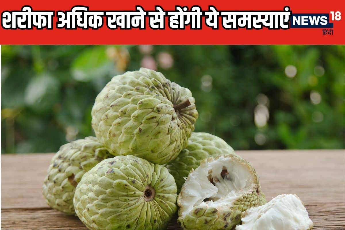 custard apple Side effects 2024 09 1f214cc4dbef4881a417d88907b6f80a 3x2 TyvG6I